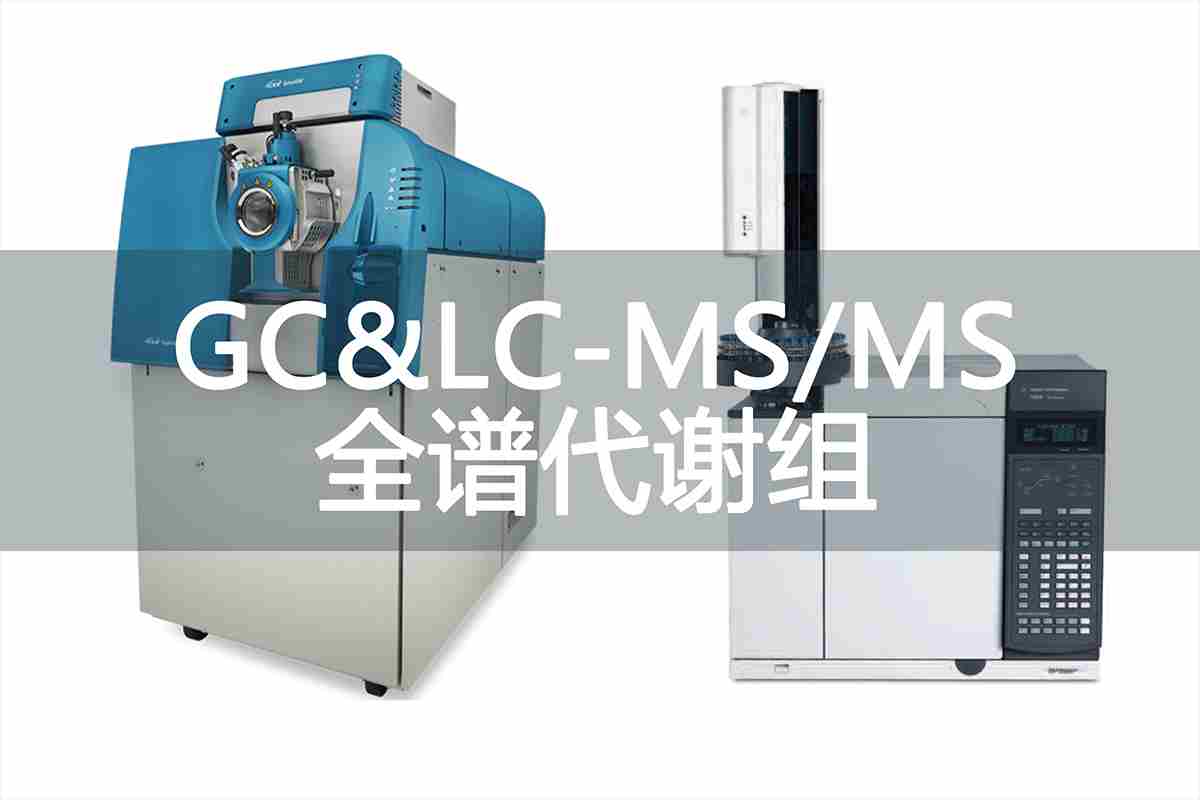 /products_Microscope.html