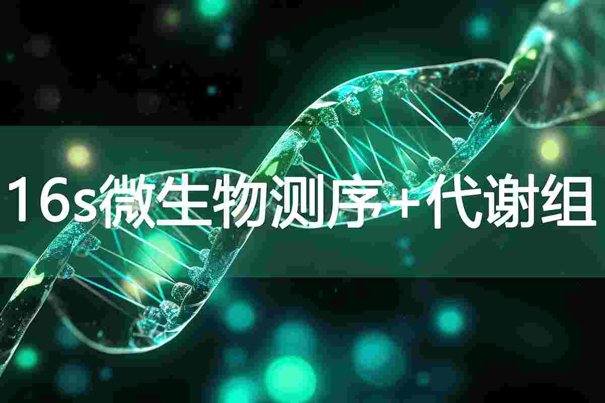 /products_details/998653431996207104.html